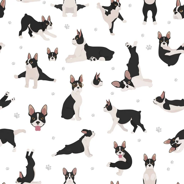 Boston Terrier Nahtloses Muster Hunde Gesunde Silhouette Und Yoga Stellt — Stockvektor