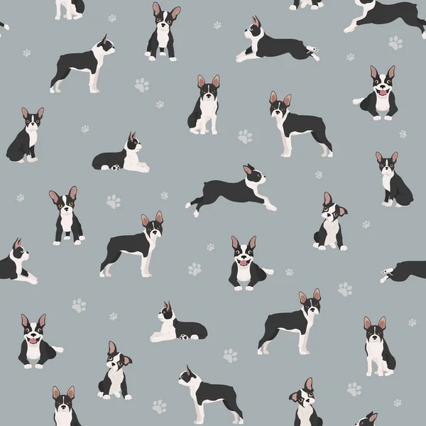 Boston Terrier Patrón Sin Costuras Perro Sano Silueta Yoga Plantea — Vector de stock