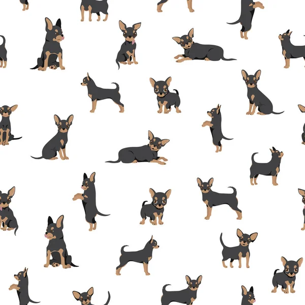 Chihuahua Naadloos Patroon Hond Gezond Silhouet Verschillende Poses Achtergrond Vectorillustratie — Stockvector