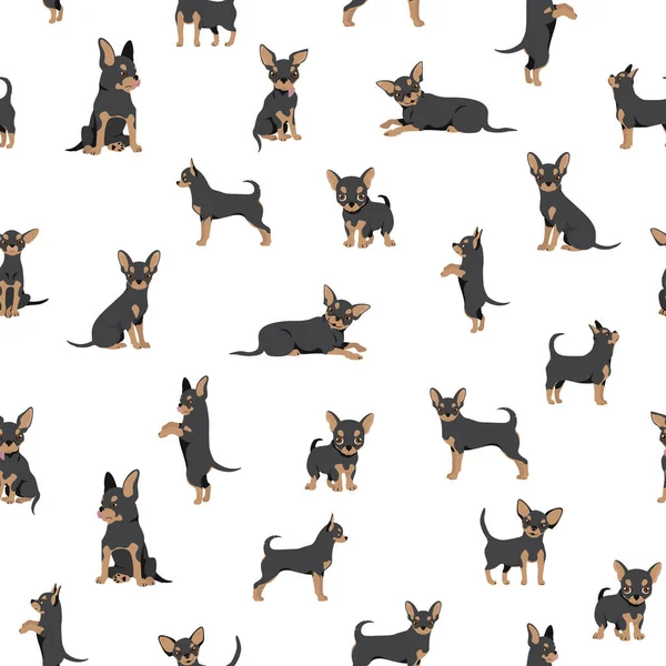 Patrón Sin Costuras Chihuahua Perro Silueta Saludable Diferentes Poses Fondo — Vector de stock