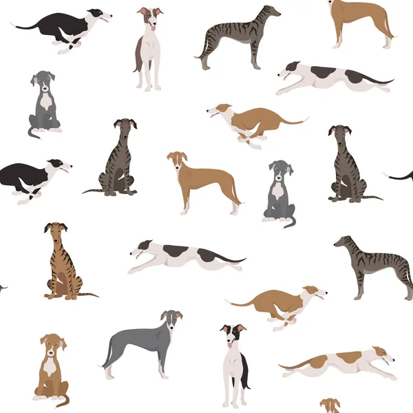 英国灰狗的姿势不同 灰狗无缝图案 矢量说明 — 图库矢量图片