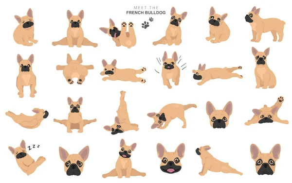 Clipart Bulldog Français Chien Silhouette Saine Pose Yoga Ensemble Illustration — Image vectorielle