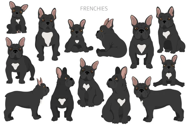 Bulldog Francesi Pose Diverse Set Adulti Cuccioli Illustrazione Vettoriale — Vettoriale Stock