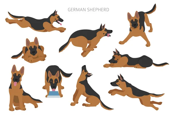 Chiens Berger Allemands Dans Différentes Poses Jeu Caractères Berger Illustration — Image vectorielle