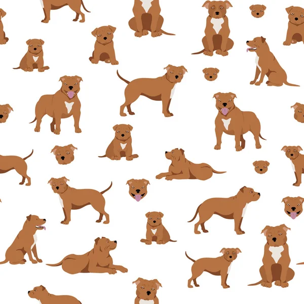 Staffordshire Bull Terrier Seamless Pattern Staffy Characters Set Vector Illustration — Stock Vector