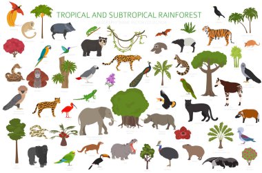Tropikal ve astropikal yağmur ormanı biyolojisi, doğal bölge bilgisi. Amazon, Afrika, Asya, Avustralya yağmur ormanları. Hayvanlar, kuşlar ve bitkiler ekosistem dizaynı. Vektör illüstrasyonu