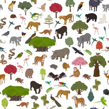 Tropical and subtropical dry broadleaf forest biome, natural region seamless pattern. Seasonal forests. Animals, birds and vegetations ecosystem design set. Vector illustration clipart