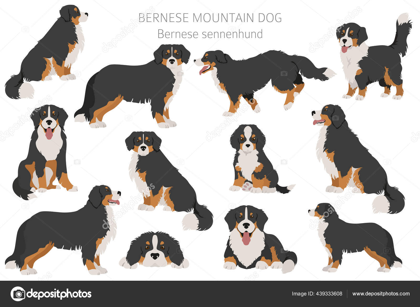Swiss Bernese Dogストックベクター ロイヤリティフリーswiss Bernese Dogイラスト Depositphotos Swiss Bernese Dogストックベクター ロイヤリティフリーswiss Bernese Dogイラスト Depositphotos