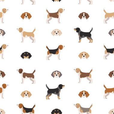Beagle kusursuz desen. Farklı pozlar, Beagle yavrusu. Vektör illüstrasyonu