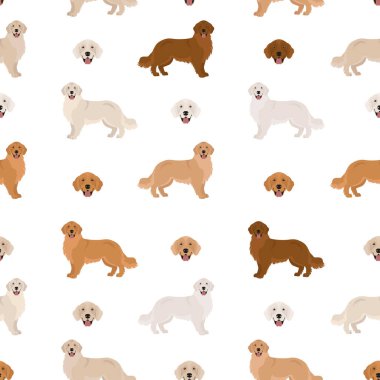 Golden retriever köpekleri farklı pozlarda ve ceket renklerinde. Kusursuz desen. Yetişkin altınları ve köpek yavrusu seti. Vektör illüstrasyonu