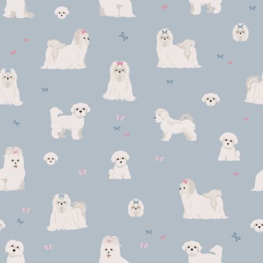 Maltese köpekleri farklı pozlarda dururlar. Vektör illüstrasyonu