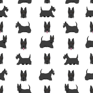Farklı pozlarda ve ceket renklerinde İskoç teriyer köpekleri. Yetişkin ve yavru Scottie kusursuz desenli. Vektör illüstrasyonu