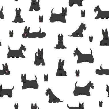 Farklı pozlarda ve ceket renklerinde İskoç teriyer köpekleri. Yetişkin ve yavru Scottie kusursuz desenli. Vektör illüstrasyonu