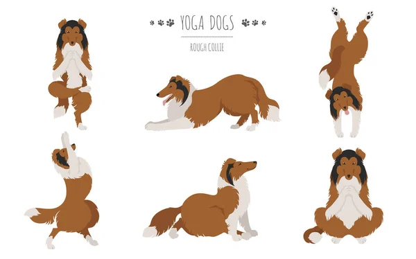 Yoga Hunde Posieren Und Üben Rauer Collie Cliparts Vektorillustration — Stockvektor