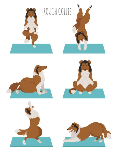 Perros Yoga Poses Ejercicios Clipart Duro Collie Ilustración Vectorial — Vector de stock