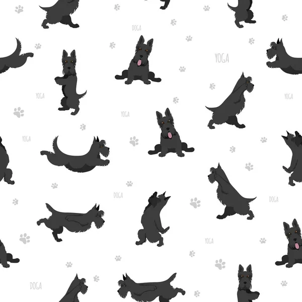 Yoga Dogs Poses Exercises Scottish Terrier Yoga Seamless Pattern Vector — Stock Vector