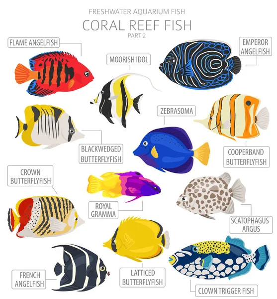 サンゴ礁の魚 淡水水族館魚のアイコンは 白に隔離されたフラットスタイルを設定します ベクターイラスト — ストックベクタ