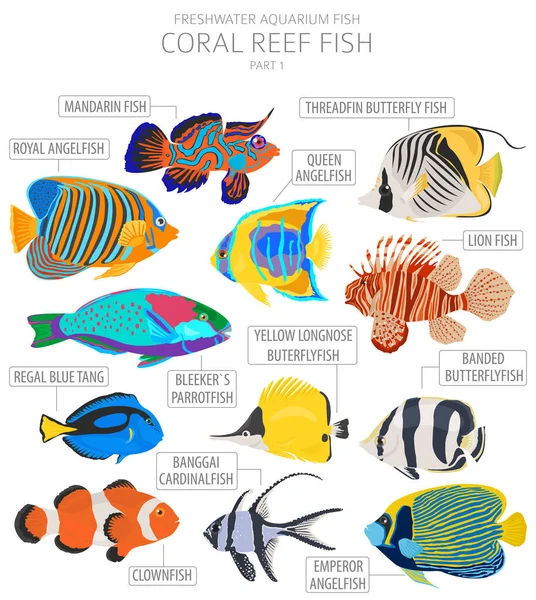サンゴ礁の魚 淡水水族館魚のアイコンは 白に隔離されたフラットスタイルを設定します ベクターイラスト — ストックベクタ