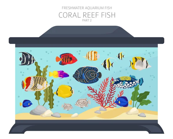 Coral Reef Fish Freshwater Aquarium Fish Icon Set Flat Style — Stock Vector