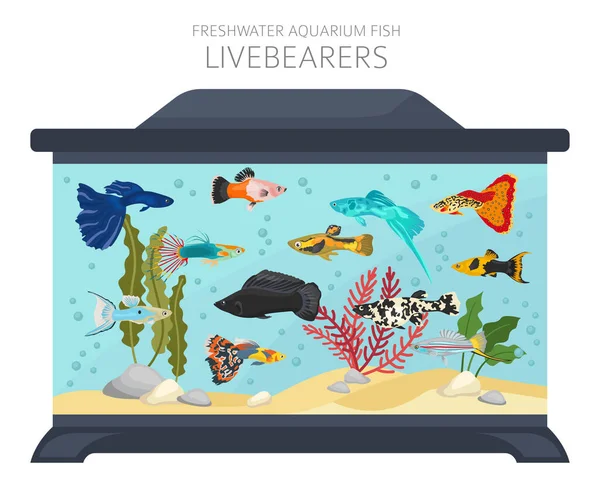 Livebearers Fiskar Sötvatten Akvarium Fisk Ikon Som Platt Stil Isolerad — Stock vektor