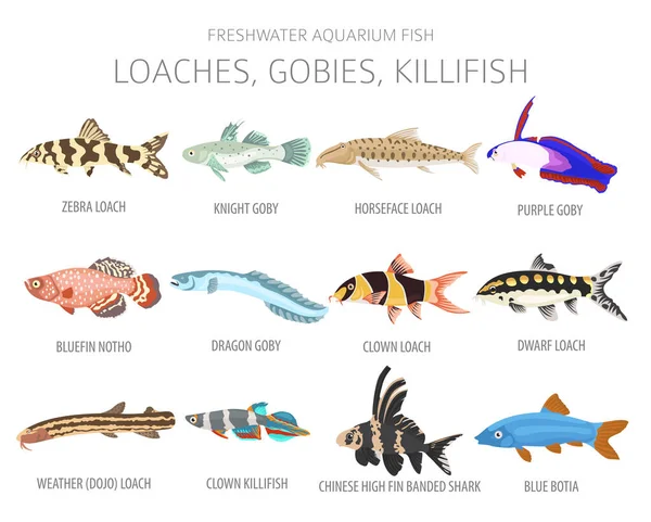 Loaches Gobies Killfish Ikon Ikan Akuarium Air Tawar Mengatur Gaya - Stok Vektor