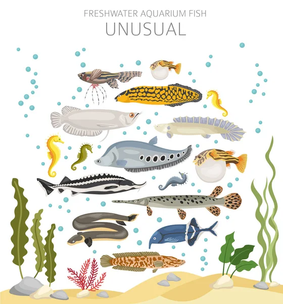 Des Poissons Inhabituels Icône Poisson Aquarium Eau Douce Mis Style — Image vectorielle