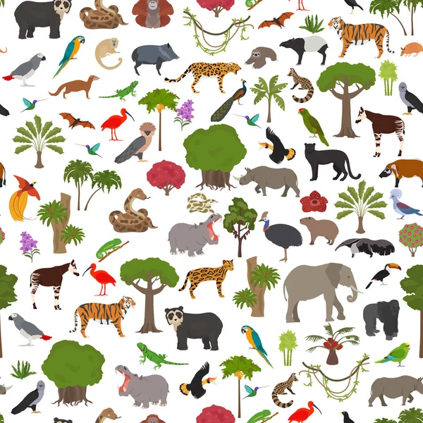 Tropical Subtropical Rainforest Biome Natural Region Seamless Pattern Amazonian African — Stock Vector