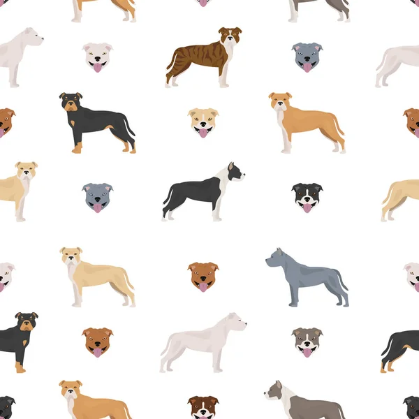 Staffordshire Bull Terrier Naadloos Patroon Staffy Personages Ingesteld Vectorillustratie — Stockvector