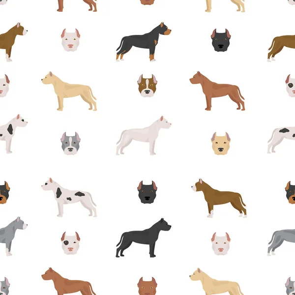 Американские Собаки Питбуля Терьера Разновидности Цветов Разные Позы Бесшовный Шаблон — стоковый вектор