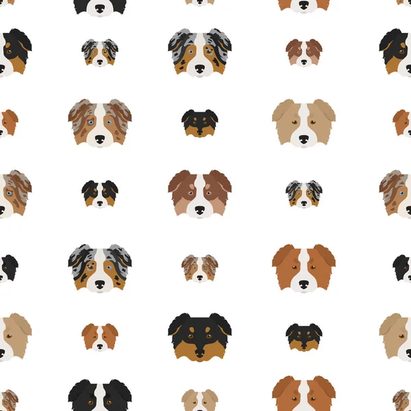 オーストラリアの羊飼いの犬のシームレスなパターン コートカラーセットの異なるバリエーション ベクターイラスト — ストックベクタ