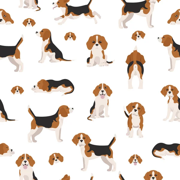 Beagle Nahtloses Muster Verschiedene Posen Beagle Welpe Vektorillustration — Stockvektor