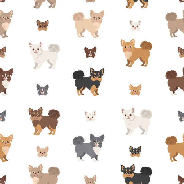 Chihuahua Naadloos Patroon Hond Gezond Silhouet Verschillende Poses Achtergrond Vectorillustratie — Stockvector