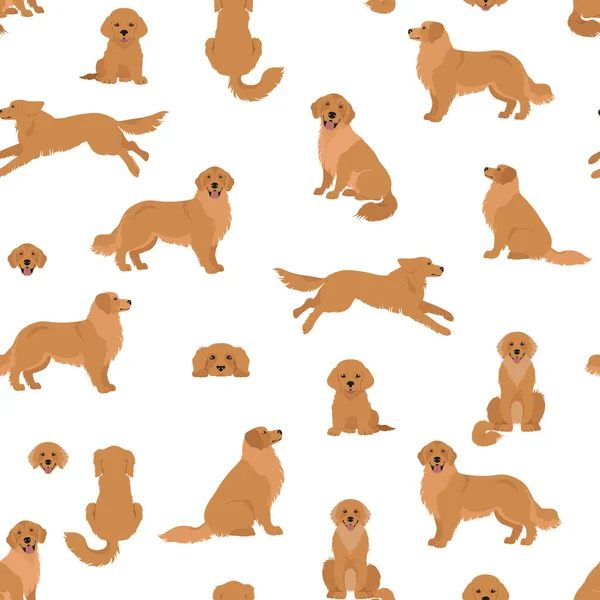 Golden Retriever Dogs Different Poses Coat Colors Seamless Pattern Adult — Stock Vector