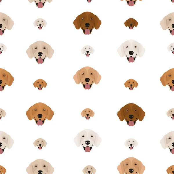 Golden Retriever Köpekleri Farklı Pozlarda Ceket Renklerinde Kusursuz Desen Yetişkin — Stok Vektör