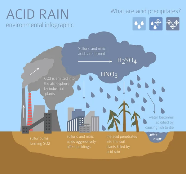 Globální Environmentální Problémy Infografie Kyselého Deště Vektorová Ilustrace — Stockový vektor