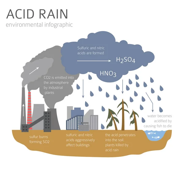 Wereldwijde Milieuproblemen Zure Regen Infographic Vectorillustratie — Stockvector