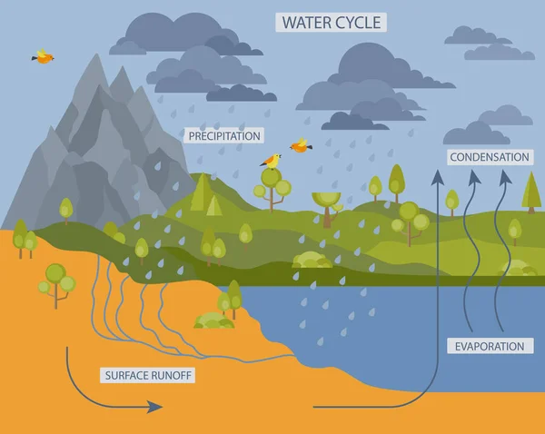 Vízkörforgás Földrajz Ökológia Infografika Vektorillusztráció — Stock Vector