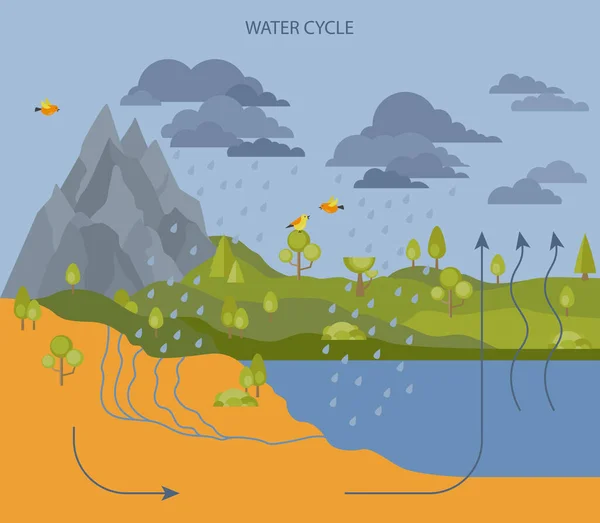 Ciclo Del Agua Geografía Diseño Infografías Ecológicas Ilustración Vectorial — Vector de stock