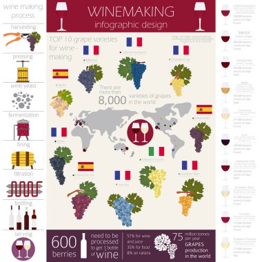 Grapes varieties for wine. Winemaking infographic. Vector illustration clipart