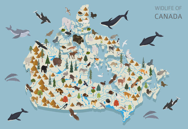 Isometric 3d design of Canada wildlife. Animals, birds and plants constructor elements isolated on white set. Build your own geography infographics collection. Vector illustration
