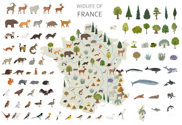 Diseño Plano Francia Fauna Animales Aves Plantas Elementos Constructores Aislados —  Fotos de Stock