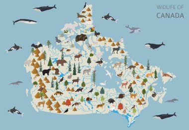 Kanada vahşi hayatının düz tasarımı. Hayvanlar, kuşlar ve bitkiler beyaz sette izole edilmiş elementler. Kendi coğrafya bilgi koleksiyonunuzu oluşturun. Vektör illüstrasyonu