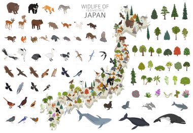 Japon yaban hayatının Isometric 3D tasarımı. Hayvanlar, kuşlar ve bitkiler beyaz sette izole edilmiş elementler. Kendi coğrafya bilgi koleksiyonunuzu oluşturun. Vektör illüstrasyonu