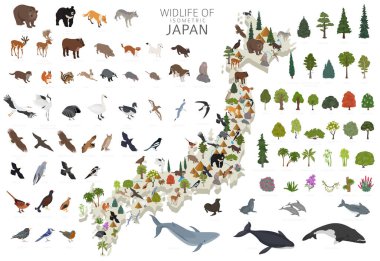 Isometric 3d design of Japan wildlife. Animals, birds and plants constructor elements isolated on white set. Build your own geography infographics collection. Vector illustration clipart