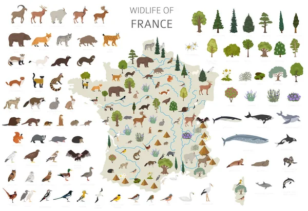 Conception Plate Faune Sauvage France Animaux Oiseaux Plantes Éléments Constructeurs — Image vectorielle