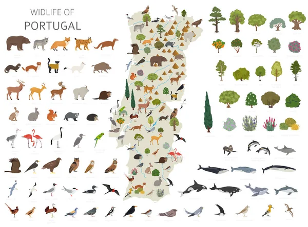葡萄牙野生动物的平面设计 鸟类和植物构造函数元素分离于白色集合中 创建您自己的地理信息图形集合 矢量说明 — 图库矢量图片