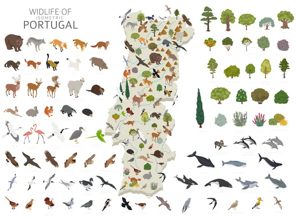 Isometric Projekt Portugalii Dzikiej Przyrody Zwierzęta Ptaki Rośliny Elementy Konstrukcyjne — Wektor stockowy