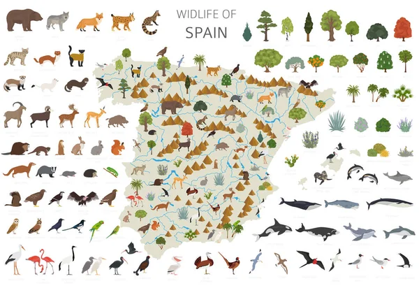Плоский Дизайн Дикой Природы Испании Животные Птицы Растения Конструкторы Элементов — стоковый вектор