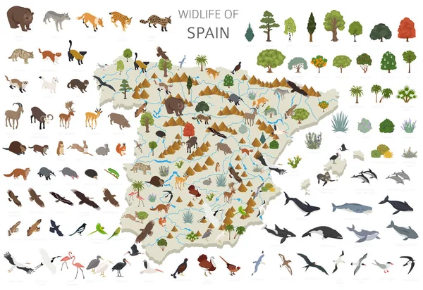 Изометрический Трехмерный Дизайн Дикой Природы Испании Животные Птицы Растения Конструкторы — стоковый вектор