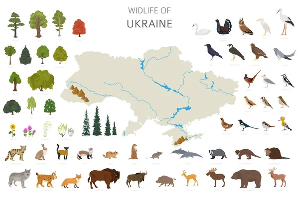 Conception Plate Faune Ukrainienne Animaux Oiseaux Plantes Éléments Constructeurs Isolés — Image vectorielle